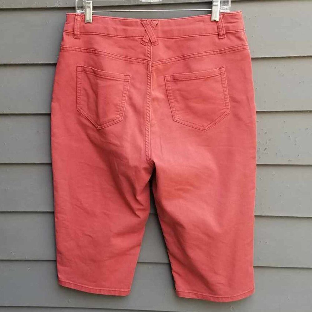 Christopher & Banks Rust Bermuda Shorts size 8 - Picture 3 of 12